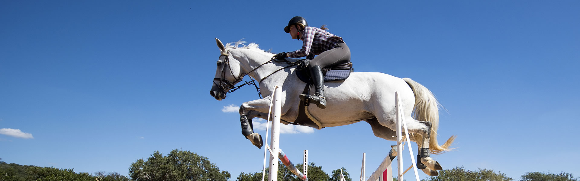 Springreiterin beim Turnier – vielfältiger Vereinssport
